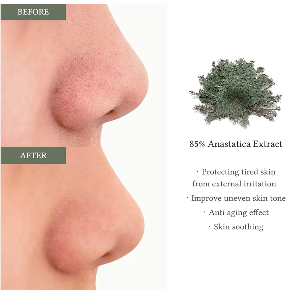 Anastatica Skin Conditioning Pad - Image 2