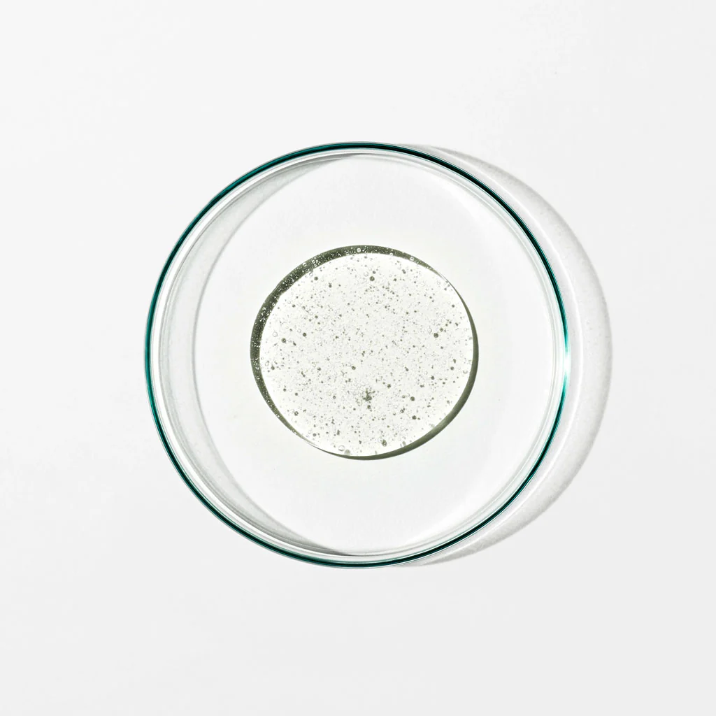Shampoo: Damask Rose, Black Pepper, Sage - Image 2