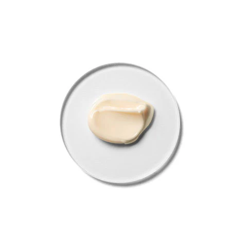 Skin Essentials Barrier Repair Cream Concentrate - Image 3